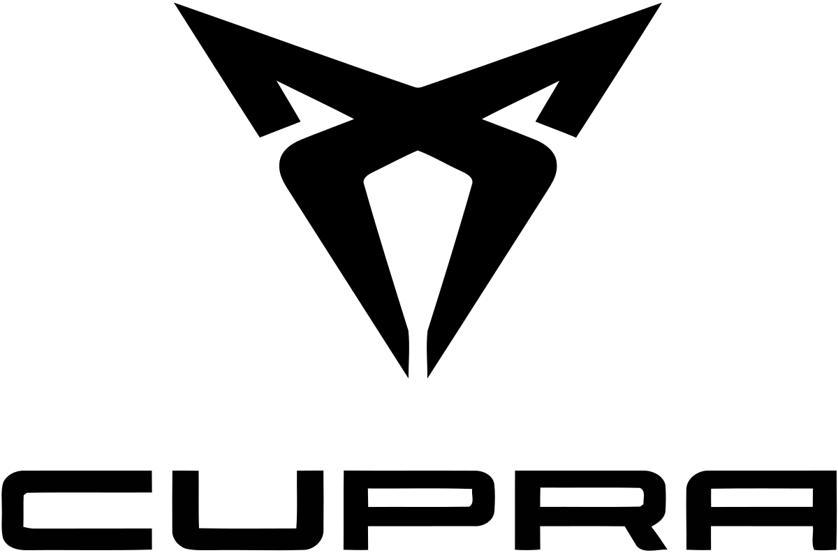 Cupra Wing Mirror Covers
