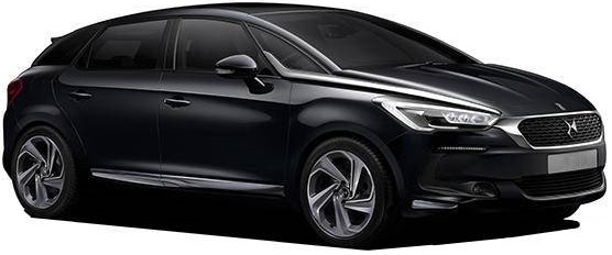 DS 5 Wing Mirror Indicators