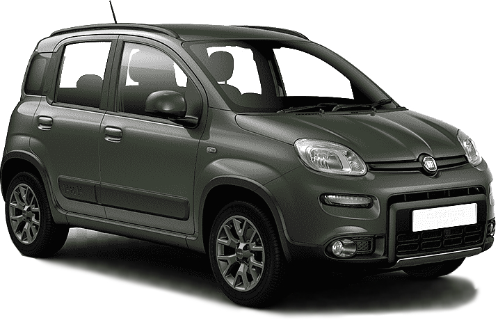Fiat Panda 4X4 SUV 2012-2022 (319)