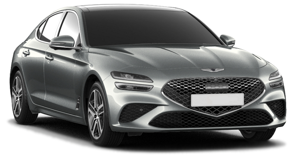 Genesis G70 Wing Mirror Indicators