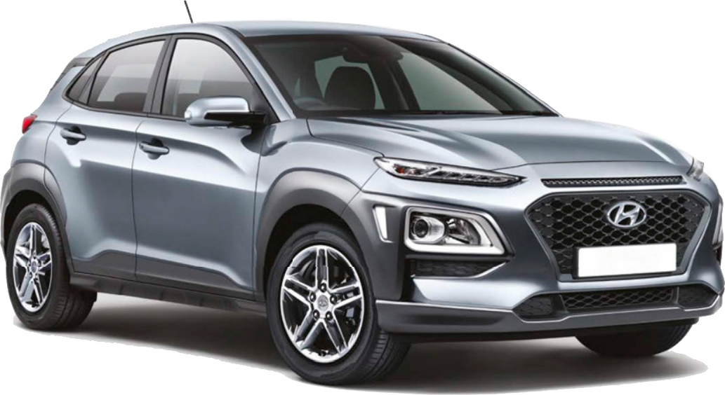 Hyundai Kona Wing Mirrors