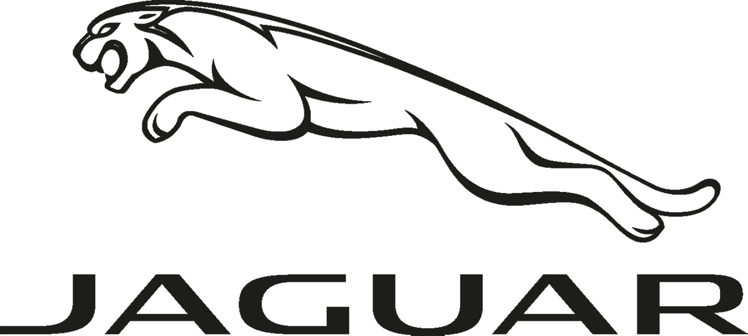Jaguar Wing Mirror Covers