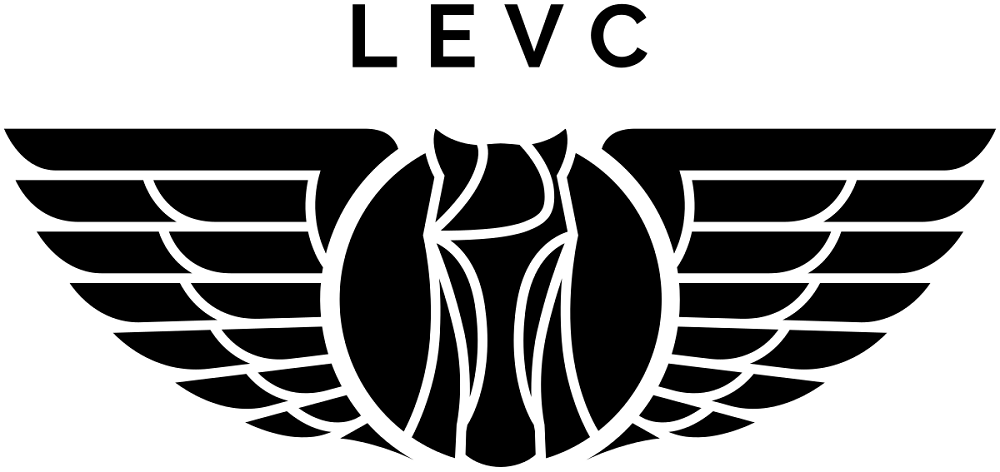 LTI/LEVC Wing Mirror Glass