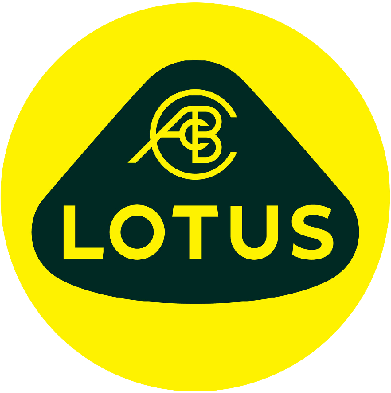 Lotus Wing Mirror Glass
