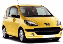Peugeot 1007 Wing Mirror Covers