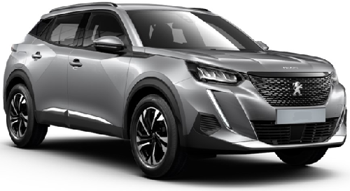 Peugeot 2008 Wing Mirror Glass