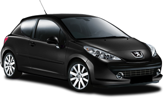 Peugeot 207 Wing Mirror Indicators