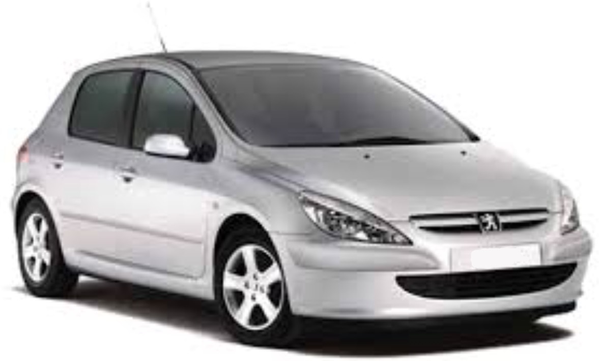 Peugeot 307 Hatchback 2001-2005 (3A)