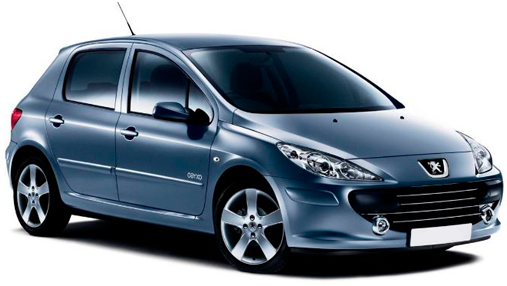 Peugeot 307 Wing Mirror Glass