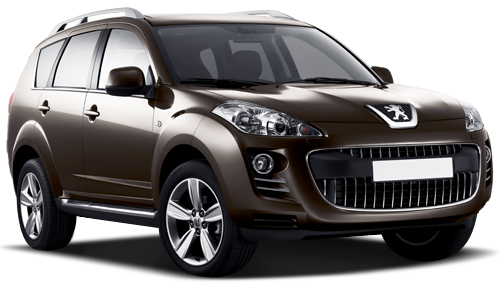 Peugeot 4007 Wing Mirror Covers