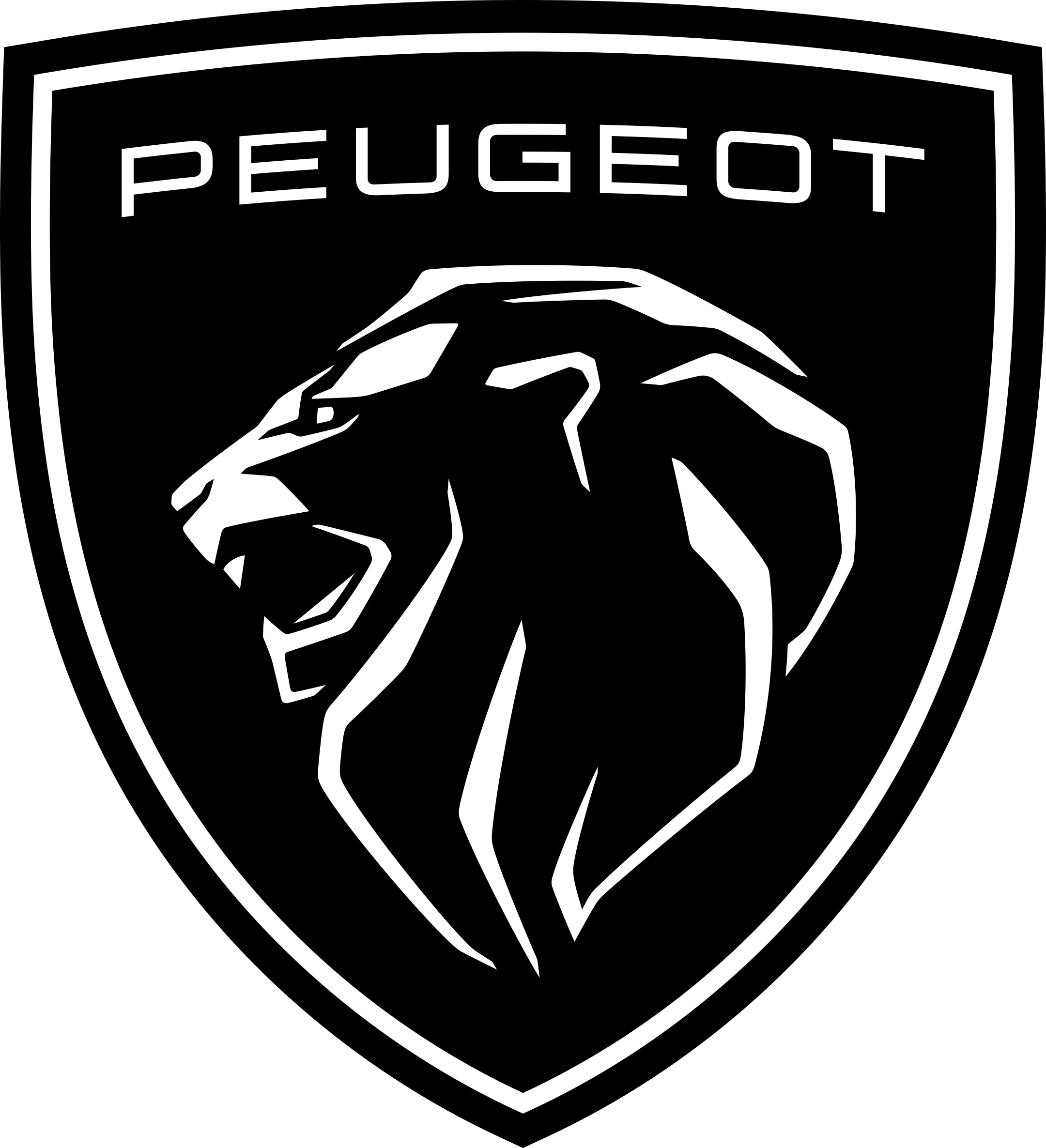 Peugeot Wing Mirror Covers