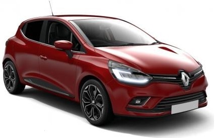 Renault Clio Wing Mirror Covers