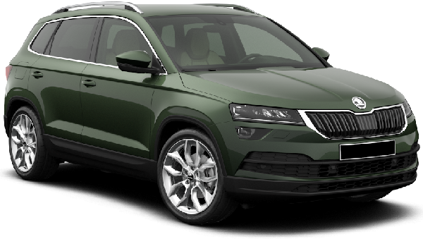 Skoda Karoq Wing Mirrors