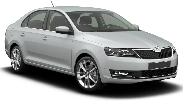 Skoda Rapid Wing Mirror Covers