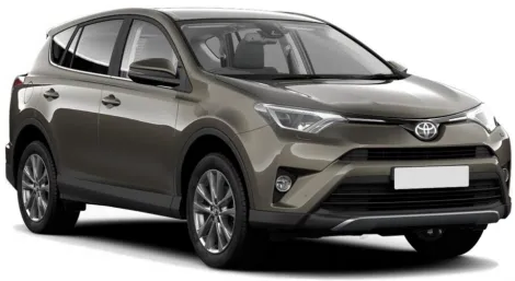 Toyota RAV4 Wing Mirrors