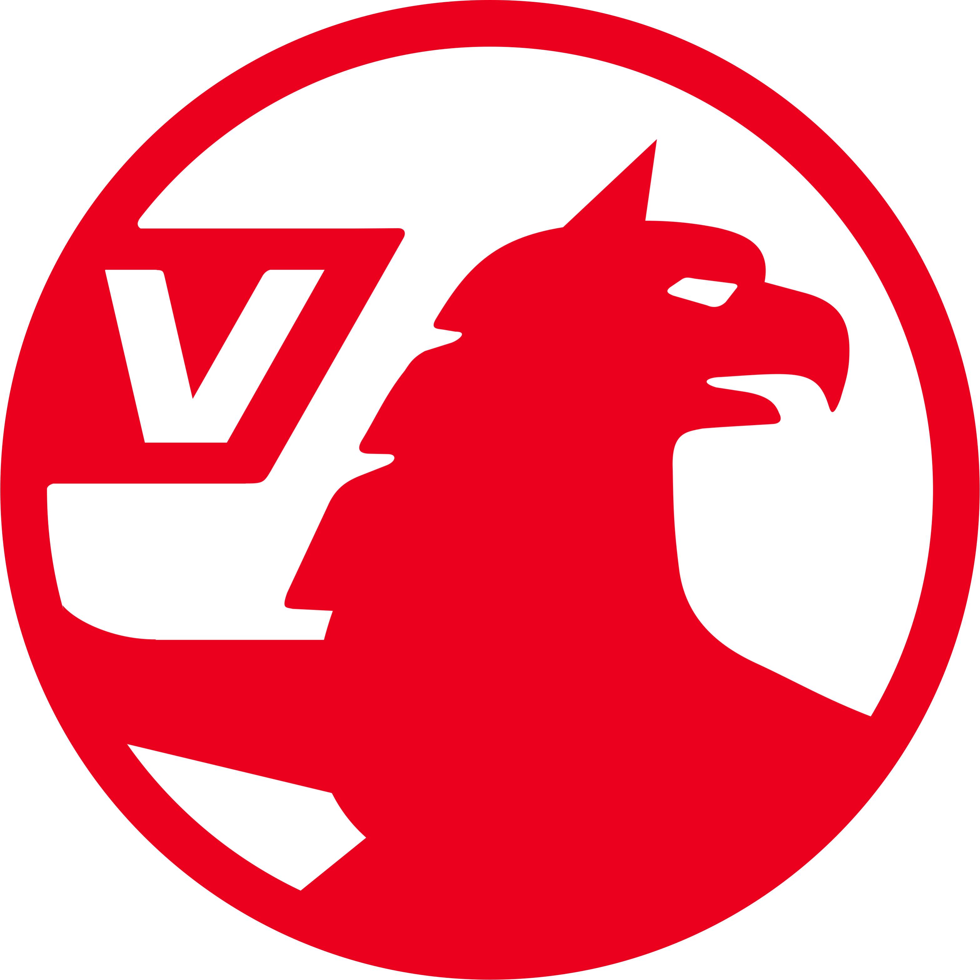 Vauxhall Wing Mirror Covers