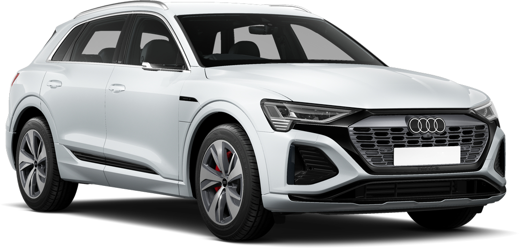 Audi Q8 e-tron Wing Mirrors