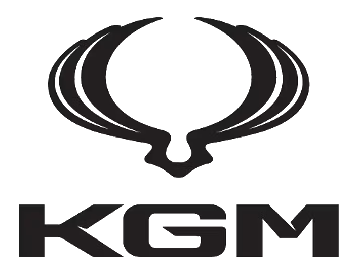 KGM Wing Mirror Glass