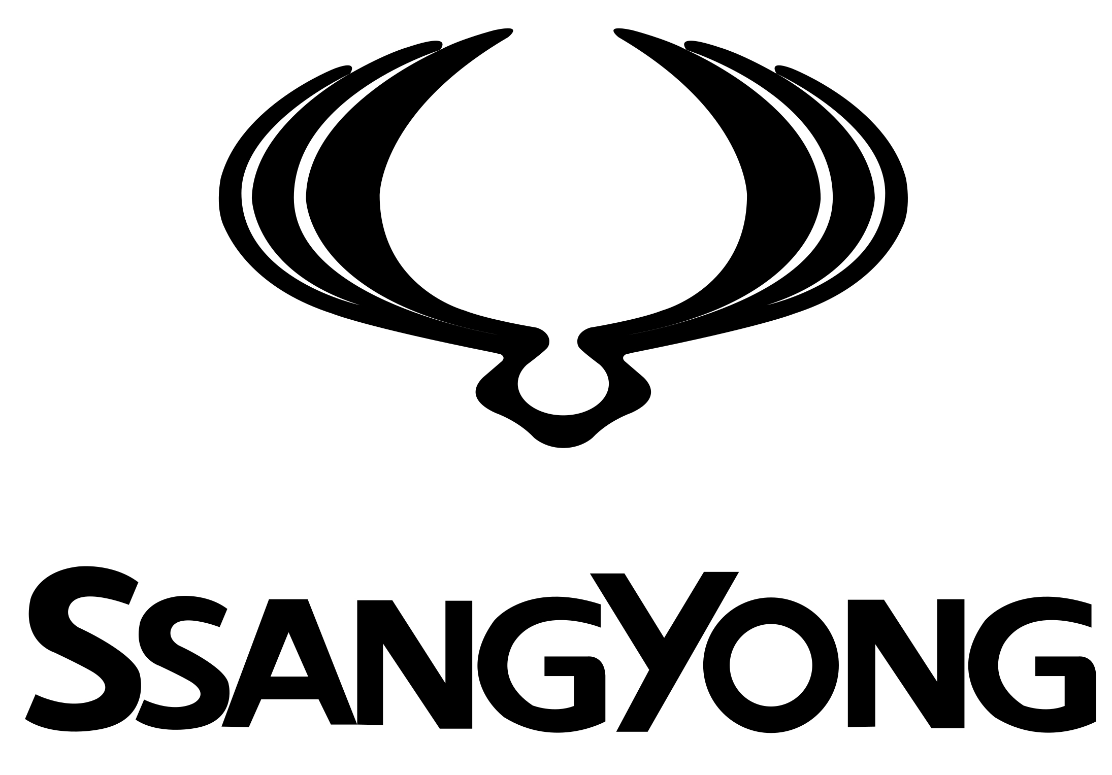 Ssangyong Wing Mirror Glass